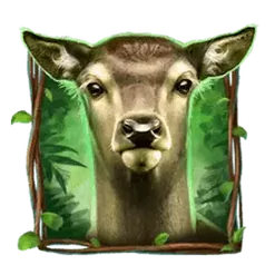 icon 4
