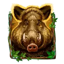 icon 3