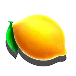 icon 9