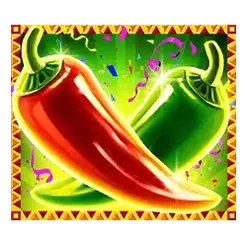 icon 13