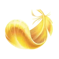 icon 4