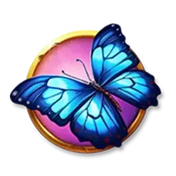 icon 4