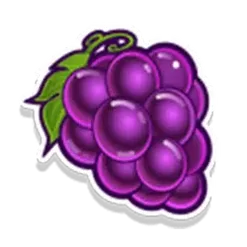 icon 4