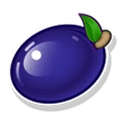 icon 5