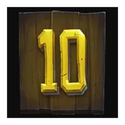 icon 10