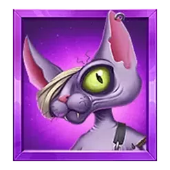 icon 6
