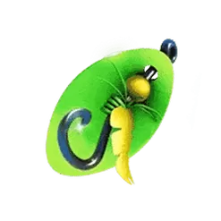 icon 5