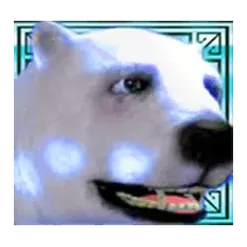 icon 13