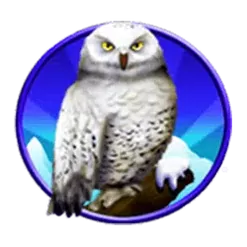 icon 5