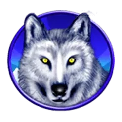 icon 2