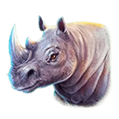 icon 3