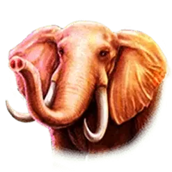 icon 2