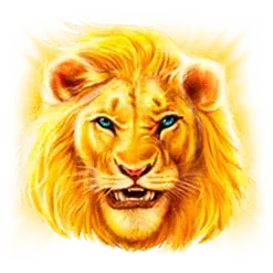 icon 1
