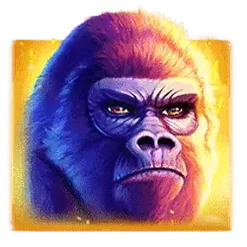 icon 1