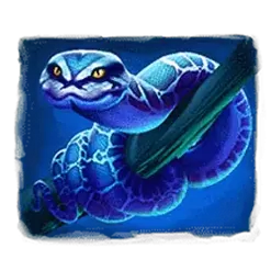 icon 5