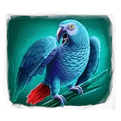 icon 6