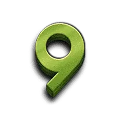 icon 13