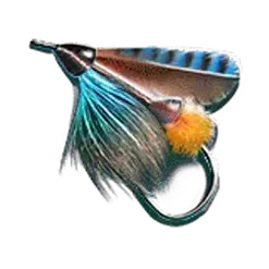 icon 5
