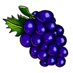 icon 4