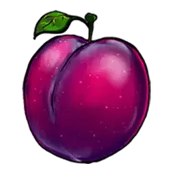 icon 5