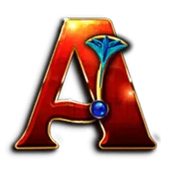 icon 5
