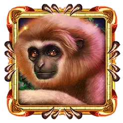 icon 2