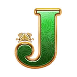 icon 8