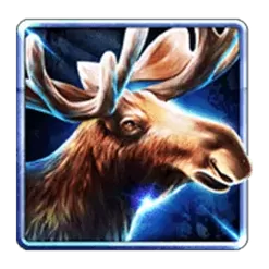 icon 3