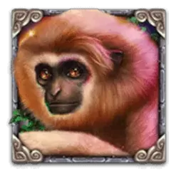 icon 2
