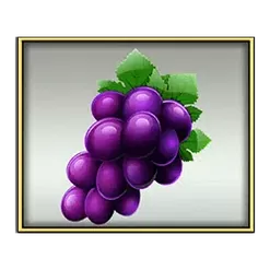 icon 4