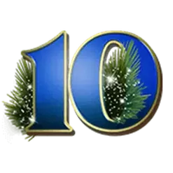 icon 9