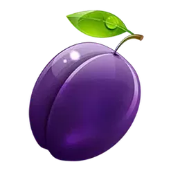 icon 9