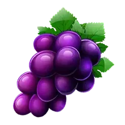 icon 6