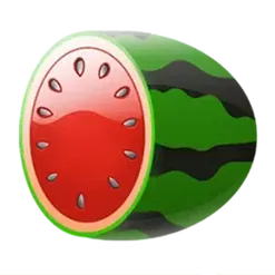 icon 5