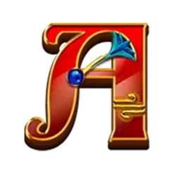 icon 5