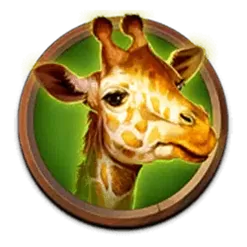 icon 4