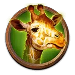 icon 3