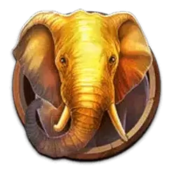 icon 1