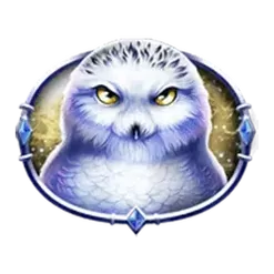 icon 3