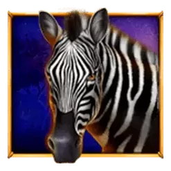 icon 4
