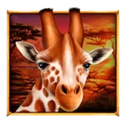 icon 3