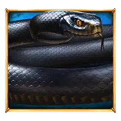 icon 5