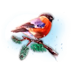 icon 3