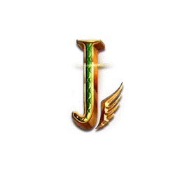 icon 9