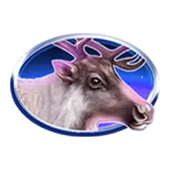 icon 3