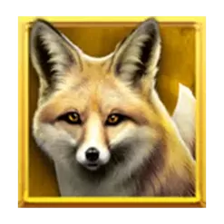 icon 4