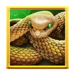 icon 5