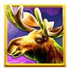 icon 3