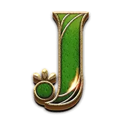 icon 9