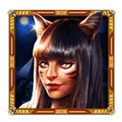 icon 4